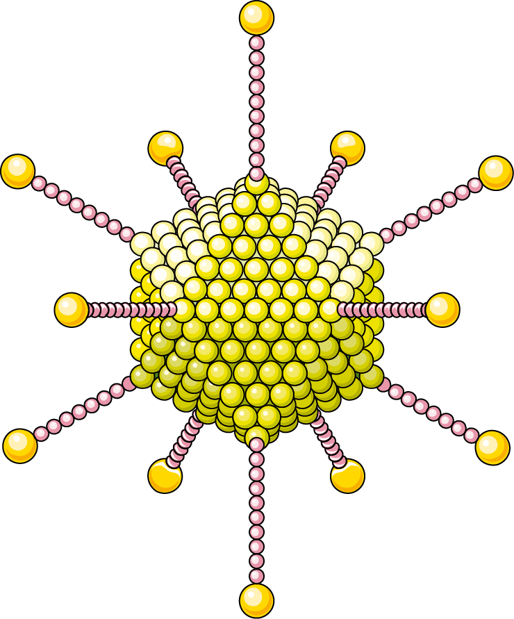 Adenovirus - Servier Medical Art