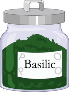 Aromates basilic