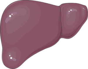 hepatomegalie