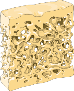 Microarchitecture osseuse