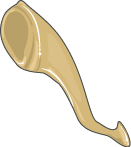 oreille interne