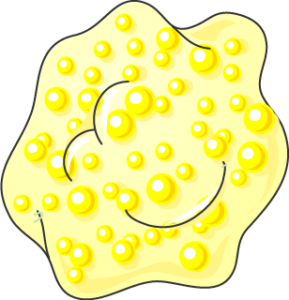 Cellule spumeuse