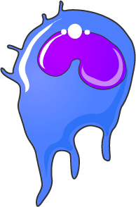Monocyte bleu