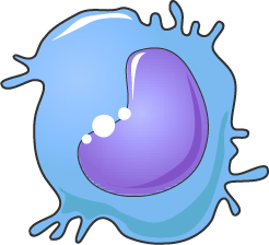Monocyte bleu ciel