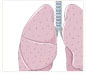 Other medical fields